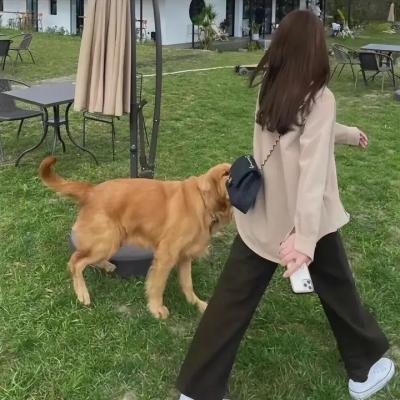 玩酷青春